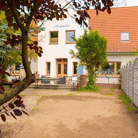 Ostsee Ferienwohnung Hummelhus Steinbeck Экстерьер фото